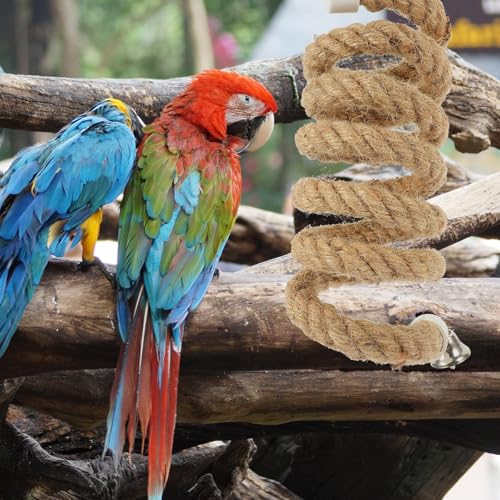 Jouet d'escalade pour perruche et calopsitte en spirale coton