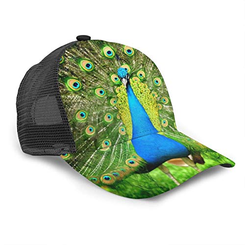 Preisvergleich Produktbild Baseballkappe mit Pfauenschwanz, tropisch, exotisch, verstellbar, für Trucker, Netzstoff, 6 Panels, Polo-Stil, Unisex, Schwarz