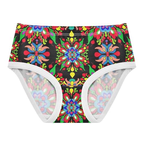 Cotton Toddler Underwear Floral Colorful Traditional Folk Art Poland Cute Panties Girl Florals Undies Kids Briefs 2t