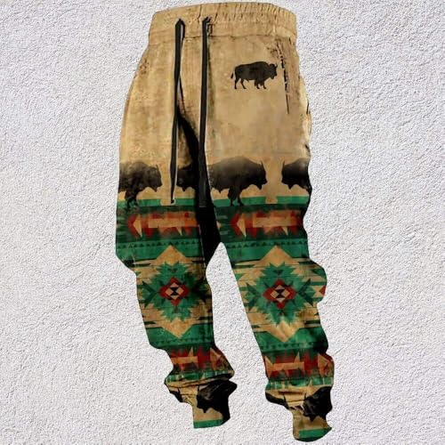 HOTYD Western Cowboy Sweatpants for Men Elastic Wasist Drawstring Aztec Print Cargo Pants Baggy Trousers with Pockets2