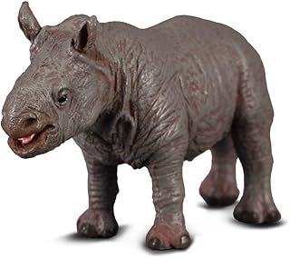 White Rhinoceros Calf