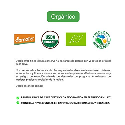 Consejos y reviews para comprar Miel pura abeja que puedes comprar esta semana. 19 Imagen adicional