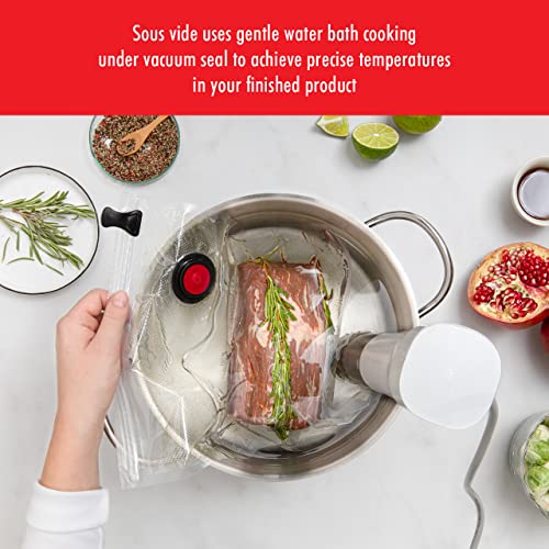 ZWILLING-Enfinigy-Sous-Vide-Cooker-Sous-Vide-Machine-Silver ZWILLING Enfinigy Sous Vide Cooker Sous Vide Machine Silver