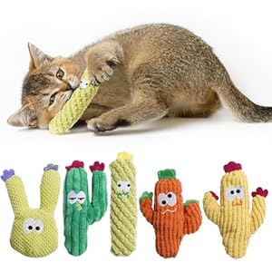 Pawsible CT-XRZ-5 Kaktus Katzenminze Spielzeug Set