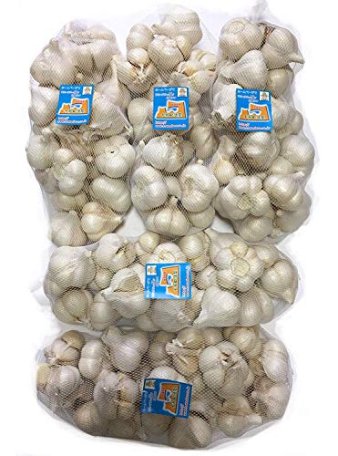 にんにく 訳あり品Mサイズ5kg 業務用C品 青森県産ホワイト六片種にんにく 割れあり 国産
