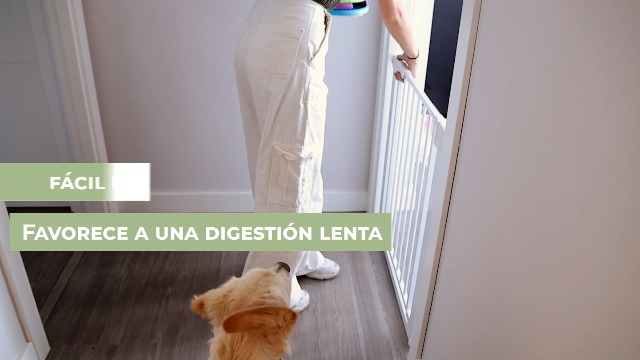 Mobiclinic Pets Doggy Comedero Interactivo 3 Niveles: Antivoracidad Y Estimulación Mental Para Perros Y Gatos
