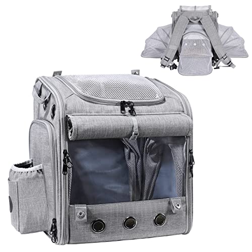 Our Top 21 Best Cat Backpack With Window Reviews BNB