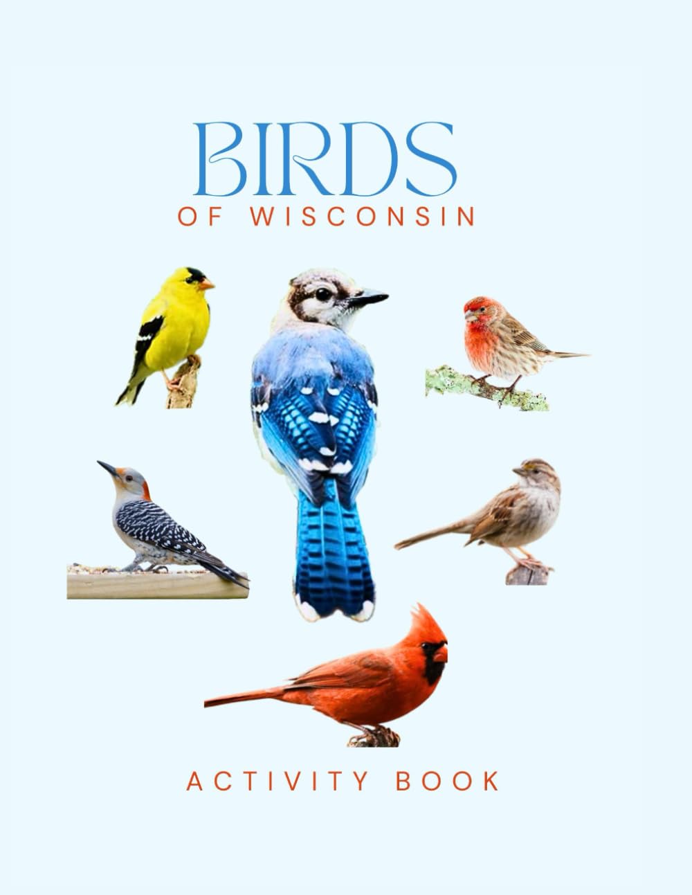Birds of Wisconsin Activity Book: A Young Explorer's Field Guide to the Backyard Birds of Wisconsin (Wisconsin Nature Explorer Series)