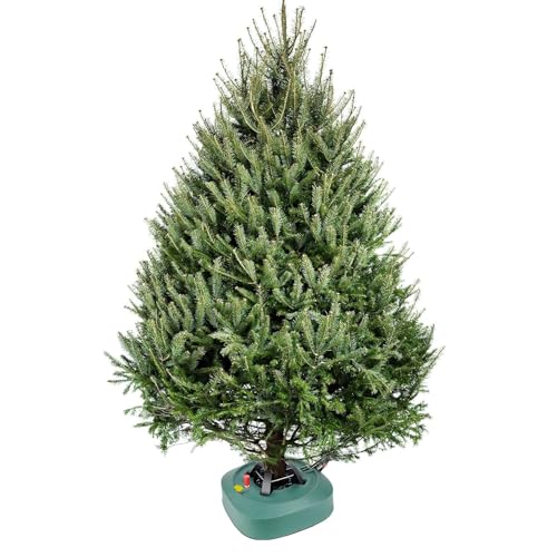 image for HarcoHome Christmas Tree Stand for Live Trees 4-7.5ft - Setup-Free Tre