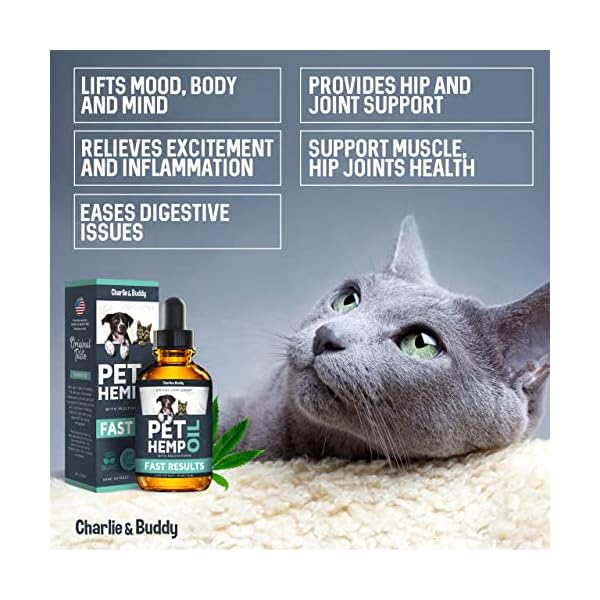 Charlie & buddy hеmp оil dogs cats - helps pets with аnxiеty, pаin, strеss, slееp, аrthritis, sеizures rеlief - нiр jоint hеalth - cаlming trеats - image 5