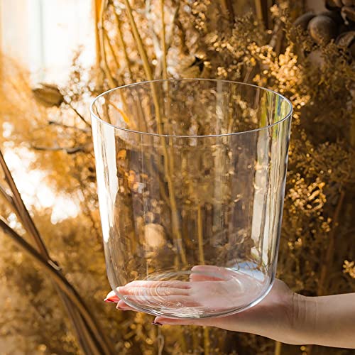 NH[cNX^NAVMO{EAFAAKAS𗎂AAґz(440Hz,6 Inch E)