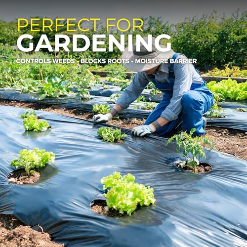 Image of Plastic Sheeting (10' x 25') Long, 6 Mil (Black) - UV Protection Poly Sheeting Polyethylene Film, Heavy Duty Greenhouse Plastic Sheeting
