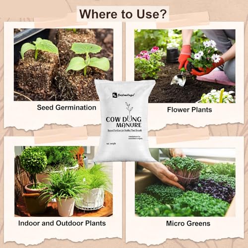 Image of Cow Dung Manure for Plants 25 kg - Organic Cow Dung Compost Fertilizer for Gardening, Pots, Kitchen Garden & Agriculture Use