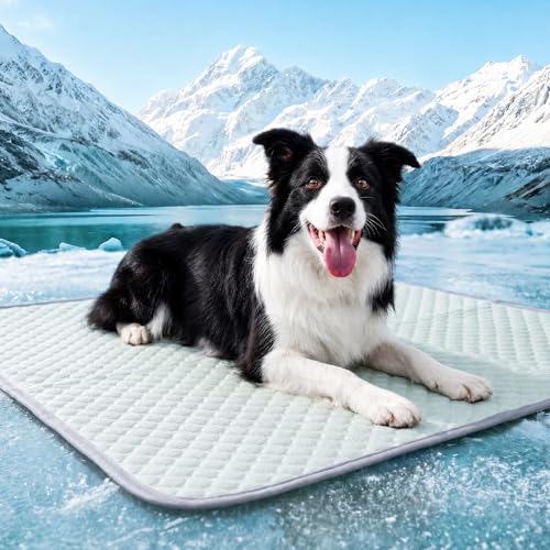 Image of PatiencET Large Dog Cooling Mat, 32 x 44 in No-Gel Cooling Pad for Dogs, Cool Touch Pet Mat with Ice-Dot Texture, Washable Summer Dog Mat for Crate, Kennel, Floor, Sofa, Car, Light Green