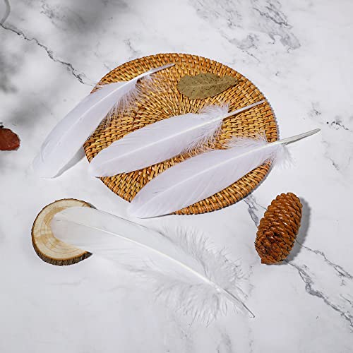 Ballinger Natural White Goose Feathers - 120Pcs 6-8 Inch Bulk Feathers for Crafts, Wedding centerpieces, Angel Wings and Dream Catcher - Thumbnail 2