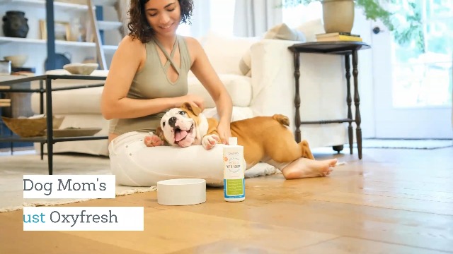 Oxyfresh Premium Pet Dental Care Solution Pet Water Additive: Best Way to Eliminate Bad Dog Breath and Cat Bad Breath - Fights Tartar & Plaque - So Easy, Just Add to Water! Vet Recommended 2 Pack - image 7