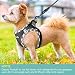 haapaw Hundegeschirr und Leine Set, kein Ziehen, verstellbares, reflektierendes Step-in-Welpengeschirr mit dicker, gepolsterter Weste für extra kleine/kleine mittelgroße Hunde