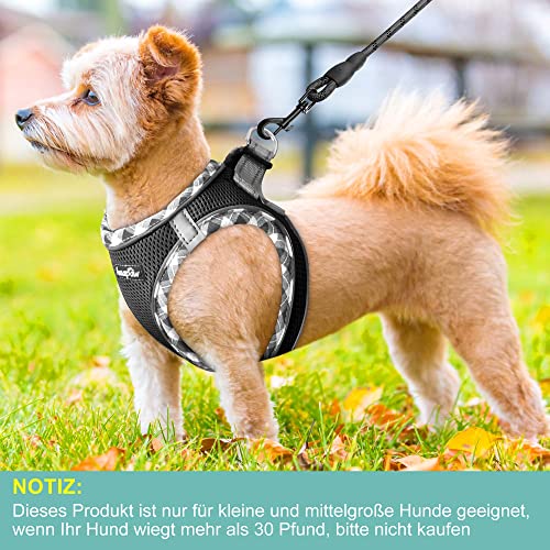 haapaw Hundegeschirr und Leine Set, kein Ziehen, verstellbares, reflektierendes Step-in-Welpengeschirr mit dicker, gepolsterter Weste für extra kleine/kleine mittelgroße Hunde