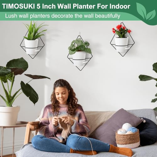 Macetas, Kitchen Imagen adicional