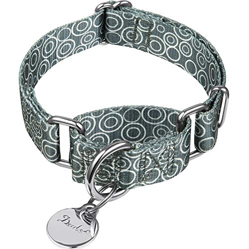 Dazzber Martingale Collars for Dogs, No Pull Anti-Escape Pet Collar, Heavy Duty for Medium and Large Dogs, Adjustable 17 Inch to 25 Inch, Warm Grey -C.R.C