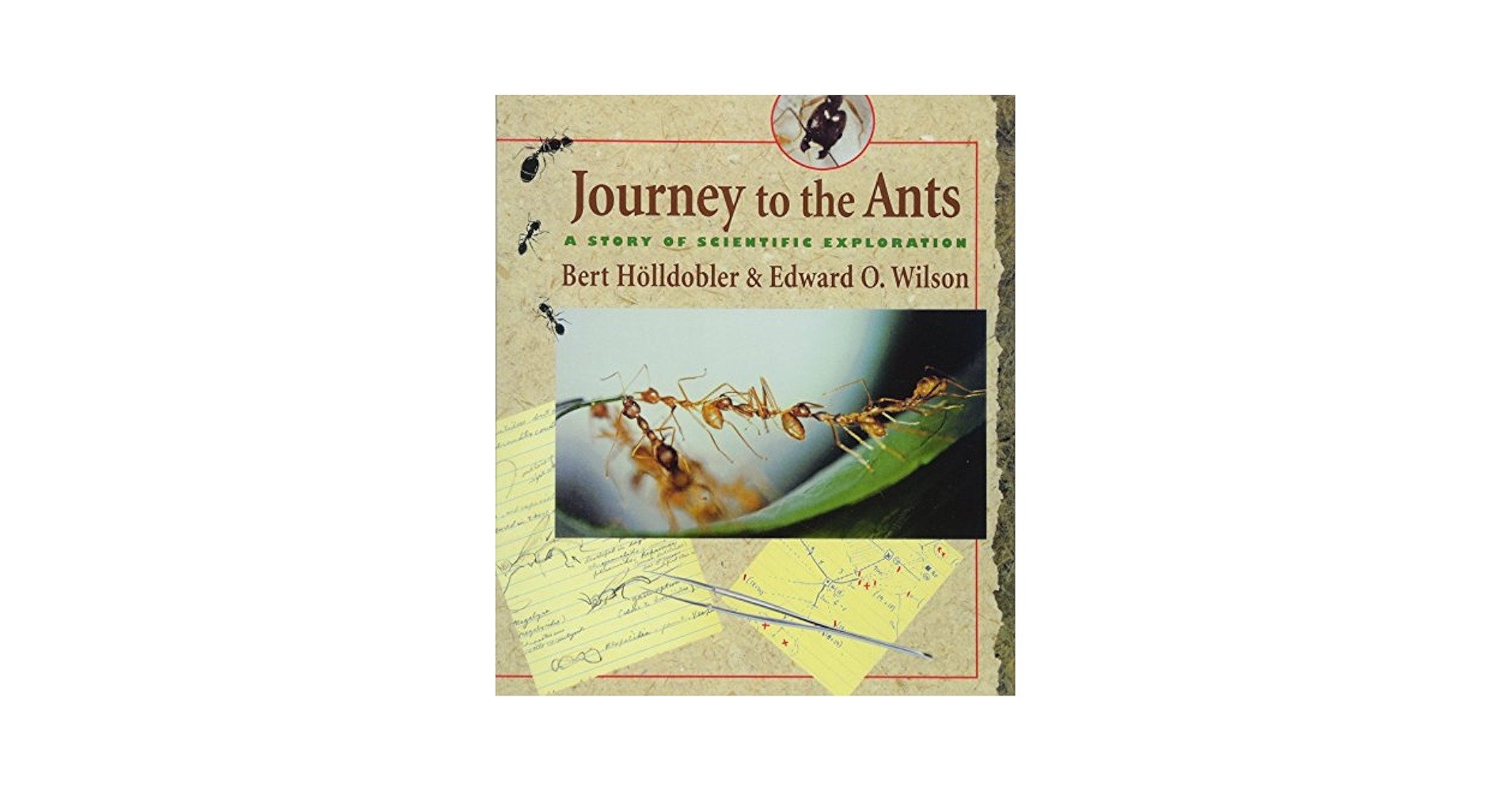 語学+参考書 Journey to the Ants: A Story of Scientific Exploration Journey to the Ants: A Story of Scientific Exploration: Bert