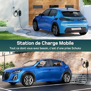 dé Chargeur Voiture Electrique 3,68kW [15m, 6/8/10/13/16A] Cable de Recharge Type 2 avec LCD écran Numérique Contrôlable, Compatible avec e-208, Spring, 500e, Model 3, Megane EV, Zoe, PHEV/EV