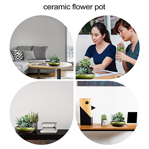TOPBATHY Retro Artistic Succulent Plant Pot Bonsai Planter Drainage Indoor Decorative Container Vintage Tabletop Cactus Bowl - Image 3