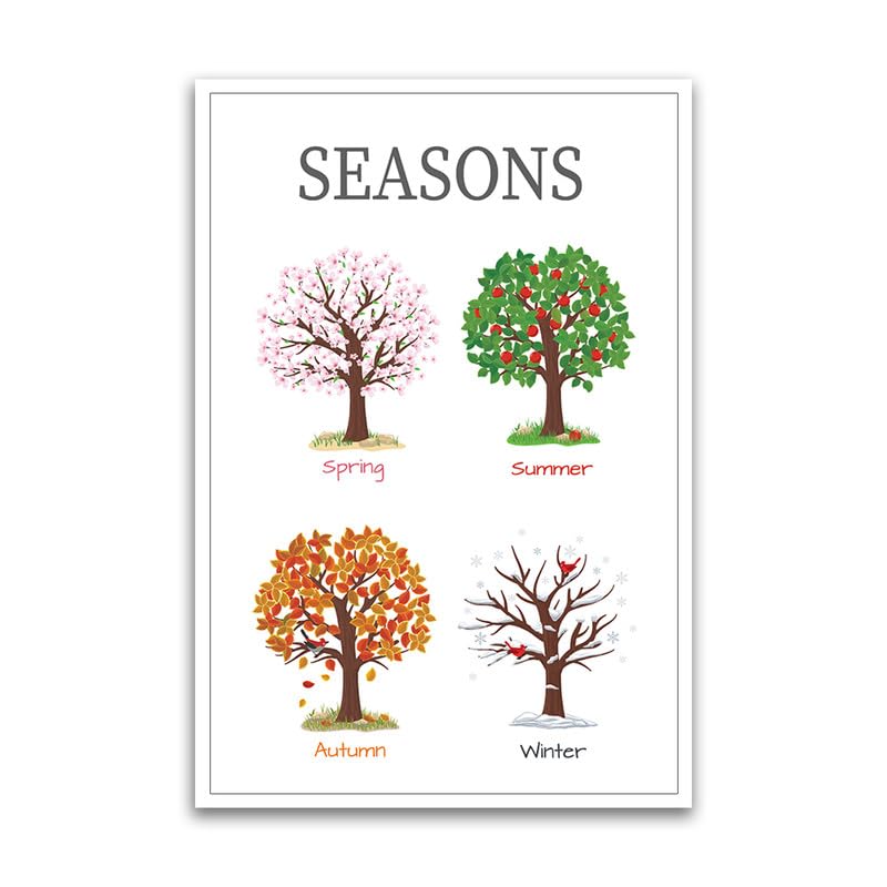 FHJP215 - Seasons Educational Poster - 12 x 18 Inch Premium Gloss - For Classrooms, Dorms & Home Decor