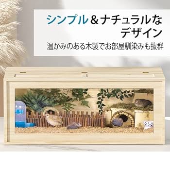 Amazon | 飼育ケース80cm おしゃれ 組み立て式 アクリルケース