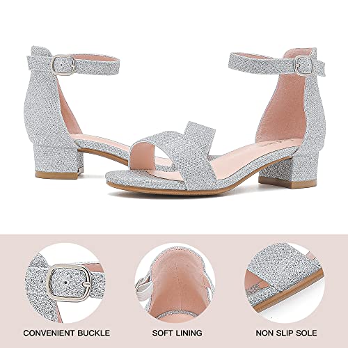 Dufannie Silver Shoes For Girls Open Toe Ankle Strap Chunky Heel Toddler High Heels Flower Girls Shoes For Wedding Birthday Party Low Heel Pump Girls Sandals (3603Glitter Silver 1) #TOP7