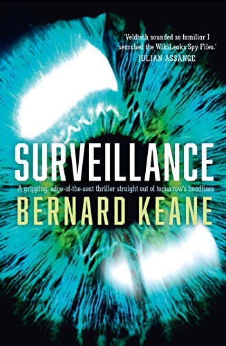 Surveillance view 2