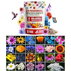 Home Grown Premium Wildflower Seeds Bulk - 60,600+ Perennial Flower Seeds Mix for Planting Outdoors - 24 Variety Wildflower Seed Mix - Attracts Bees, Butterflies & Birds - 2oz Wild Flower Seeds