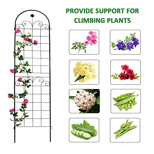 Garden-Trellis-2-Pack-Garden-Trellis-for-Climbing-Plants-867-x-197-Black-Metal-Garden-Trellis-Rustproof-Plant-Trellis-for-Rose-Vine-Vegetable-Cucumber Garden Trellis 2 Pack Garden Trellis for Climbing Plants 867 x 197 Black Metal Garden Trellis Rustproof Plant Trellis for Rose Vine Vegetable Cucumber