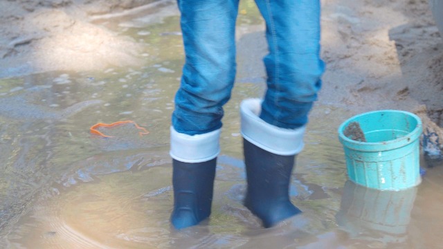 Wollemi Pine La Botte De Pluie Pour Enfants Hunter Original Kids