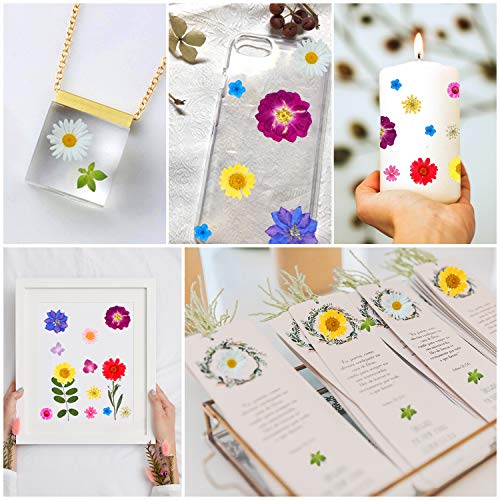 Dried Flowers-116 PCS Natural Dried Flower Herbs Kit for Bath, Soap Making, Candle Making and DIY Resin Jewelry Making Art Floral Decors