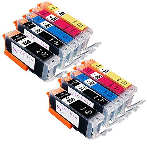 Sophia Global Compatible Ink Cartridge Replacement for Canon PGI-250 and CLI-251 (2 Large Black, 2 Small Black, 2 Cyan, 2 Magenta, 2 Yellow)