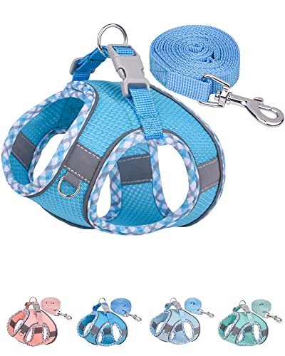 Petank-Dog-Harness-for-Small-Medium-Dogs-No-Pull-Puppy-Harness-and-Leash-Set-Easy-Walk-Dog-Harness-for-Walking-Running-Training-Small-Dog-Harness-Medium-Dog-Harness-Bule-XXS