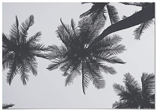 Panorama Póster Vista Aérea Palmeras 70 x 50 cm