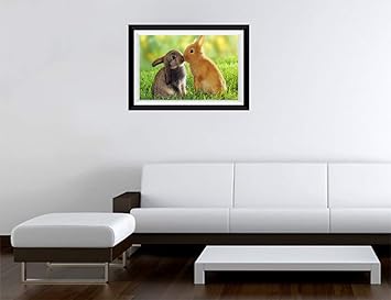 Gadgets Wrap Printed Landscape Photo Frame Style Decal Decor, Kissing Rabbit (15 X 11Inch, Multicolor)