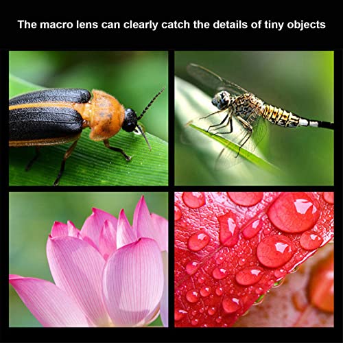 Lente gran angular de 0.45X y macro 12.5X para fotografía con móvil 6