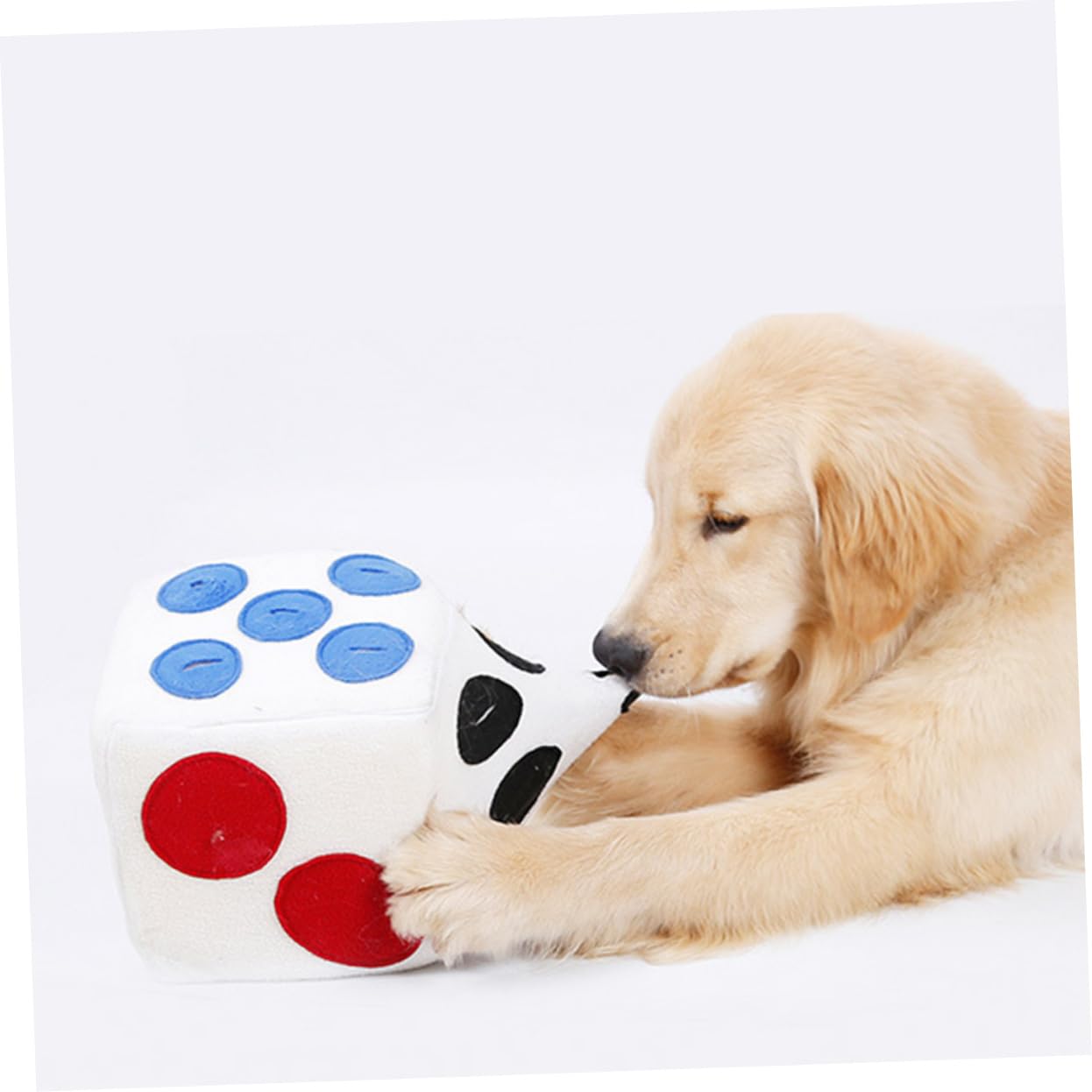 Toddmomy Distributeur De Croquettes Anti-étranglement pour Animaux Jouet Olfactif Forme De Dé Alimentation Lente pour Chien