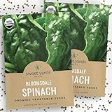 Organic Spinach Bloomsdale Heirloom Seeds - 2 Seed Packets! - Over 300 Open Pollinated Non-GMO USDA Organic Seeds