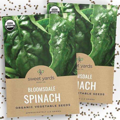 Organic Spinach Bloomsdale Heirloom Seeds - 2 Seed Packets! - Over 300 Open Pollinated Non-GMO USDA...