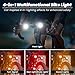 Luvan Smart Bike Light with Remote Controller-Sync Front & Rear LED Light Set, 5 Night & Daytime Mode | Turn Signals | Brake Lights, Rechargeable Bicycle Light for Night Riding, Dog, Running, Scooter