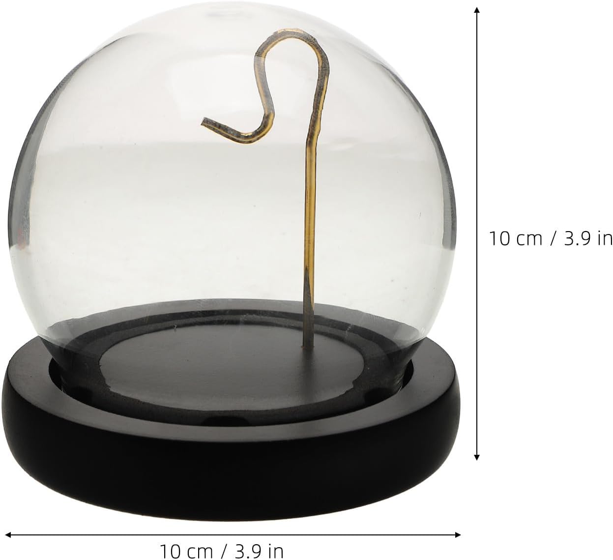 Glass Pocket Watch Display Dome Case with Wooden Base