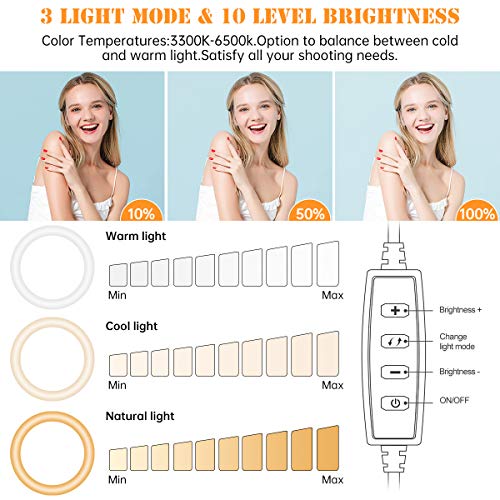 Image of Zoom Lighting for Computer, 8 inch Ring Light with Stand for Desk