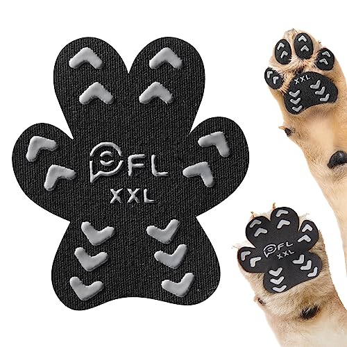 Cut On Dog Paw Pad The 15 best products compared Wild Explained