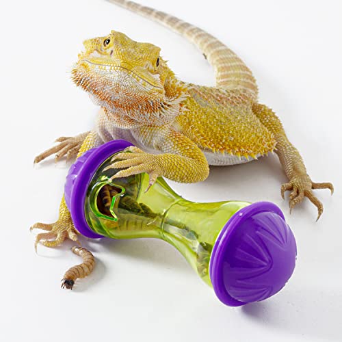 Reptizoo 2 Pcs Reptile Enrichment Toy Ball Bearded Dragon Toys Reptile Tank Decor Reptile Feed Toys For Lizard, Bearded Dragon, Gecko, Small Animals #TOP3
