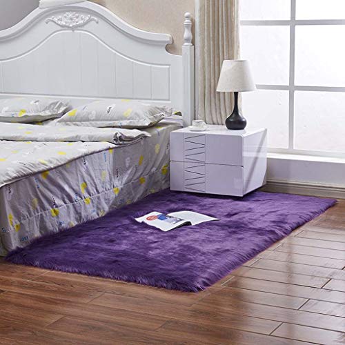 Longue couverture de canapé moelleuse et tapis de sol polyvalent 60x90