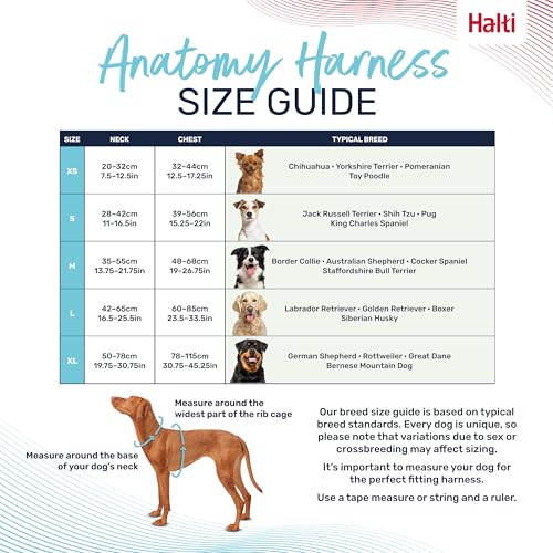 Image of Halti Anatomy Dog Harness with Handle | Size L, Grey | Padded, Adjustable & Reflective No Pull Dog Harness, 3 Leash Attachment Points including Front Clip, Suitable for Large Dogs